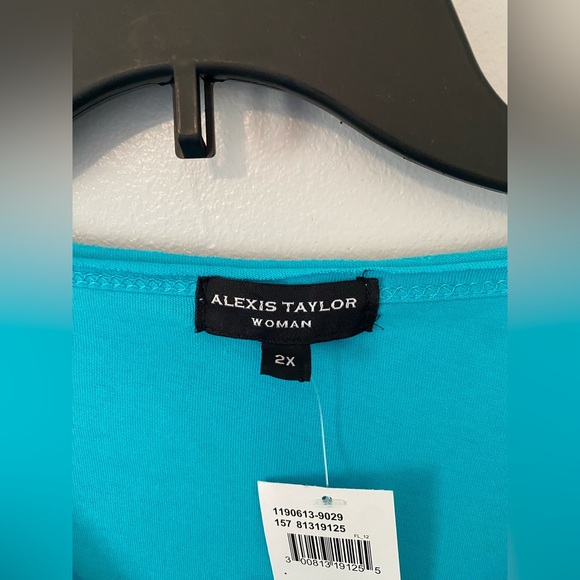 Blue V-Neck Top with Cocktail Embroidery size 1x and 2x - Picture 2 of 4